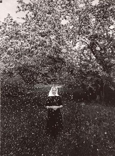 femme devant un arbre