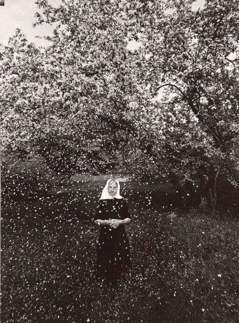 femme devant un arbre