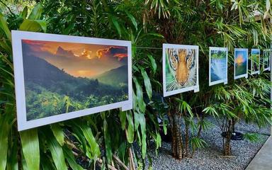 Une trentaine de photographies seront exposées à travers le Cambodge dans le cadre du concours Eyes of Cambodia