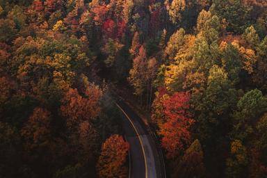 5 idées pour profiter des couleurs de l'automne en Roumanie