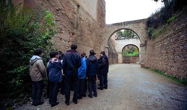 Un groupe de jeunes lors d'une visite organisée à l'Alhambra dans le cadre du programme spécial de Noël (https://www.juntadeandalucia.es/)