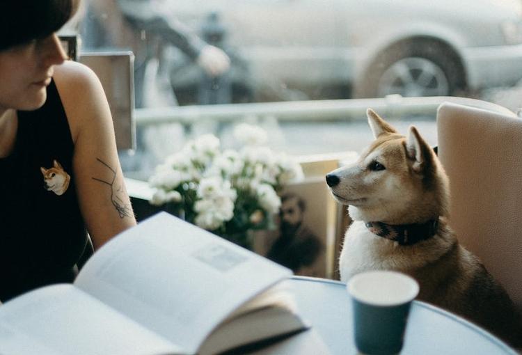 une femme et un chien