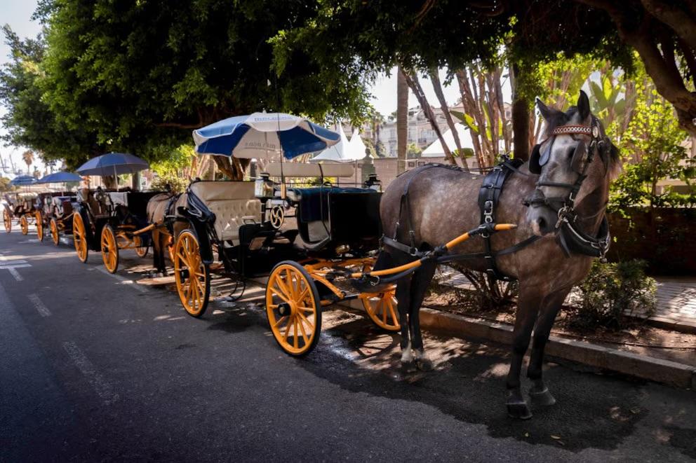 Calèches à Malaga