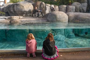 visiter Denver en famille : le zoo de Denver