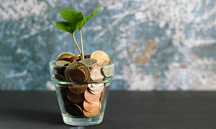 Verre rempli de pièces dans lequelle pousse une petite plante