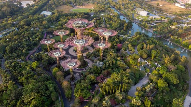 Gardens by the bay à singapour, sortie idéale avec les enfants