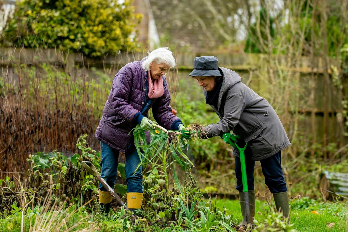 Deux retraités dans leur jardin b