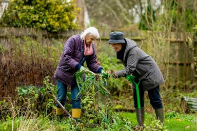 Deux retraités dans leur jardin b