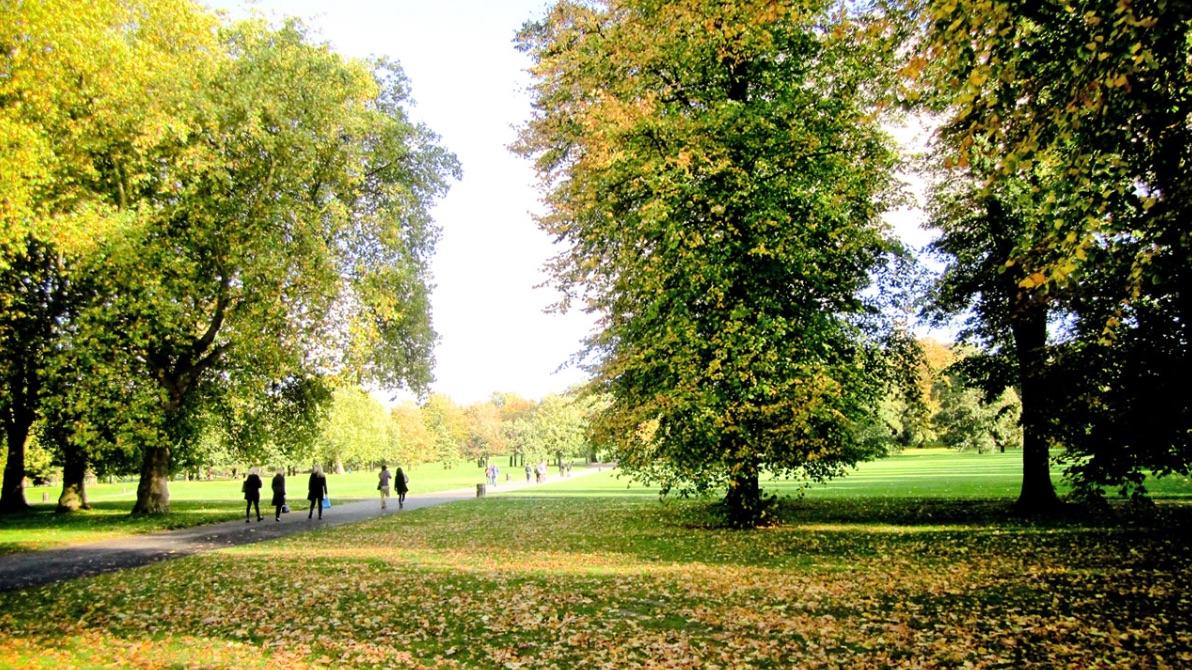 Parc, Londres, panier, pique-nique