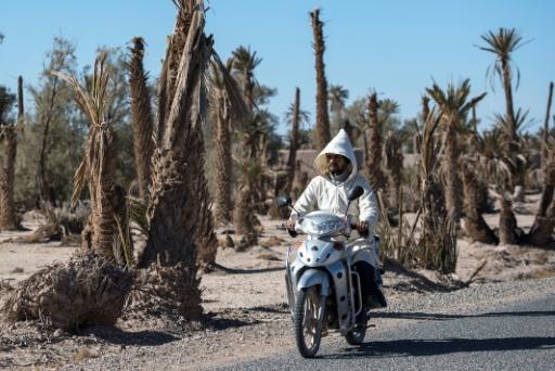 chaleur record au Maroc