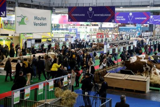 les agriculteurs français attendent des gestes de l'Europe