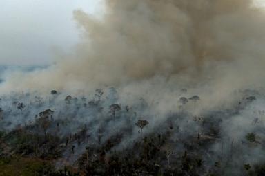 Effet du réchauffement climatique