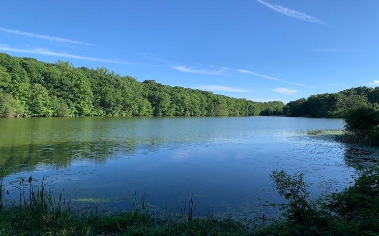  Rockefeller State Park Preserve