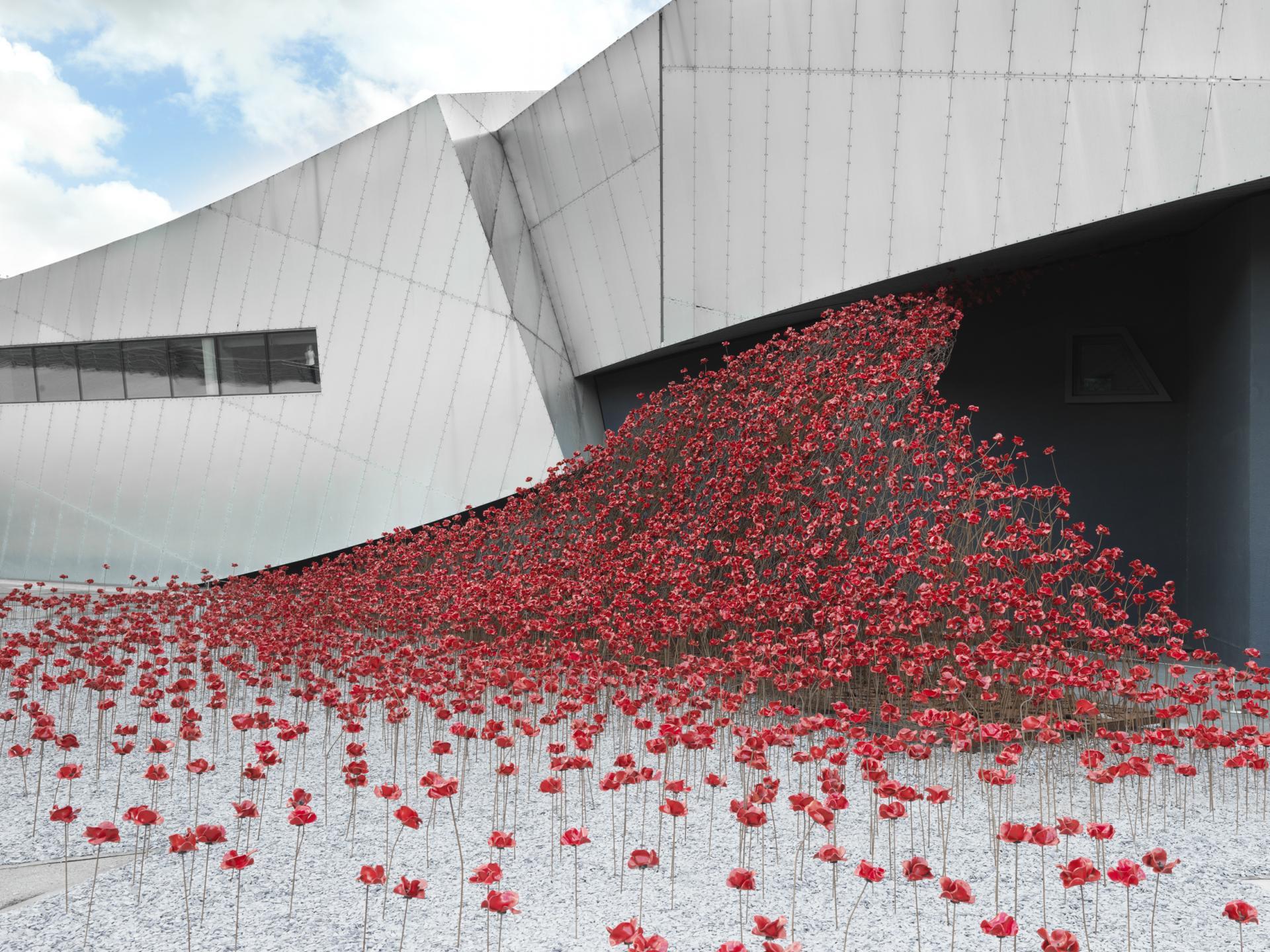 Installation - Coquelicot - Manchester