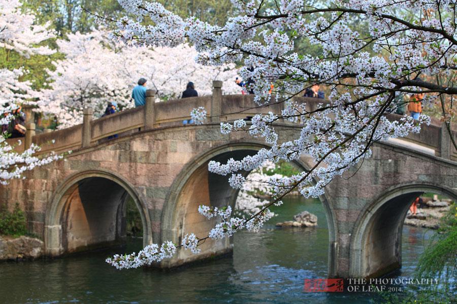 parc-taiziwan-hangzhou