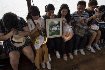 Dépos de cendres d'animaux dans le fleuve Chao Phraya 