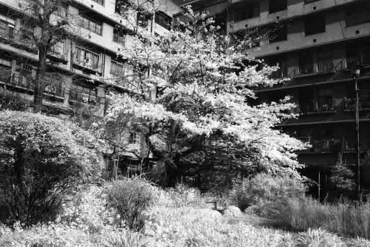 immeuble Dojunkai Edogawa situé dans le quartier de Shinjuku à Tokyo.