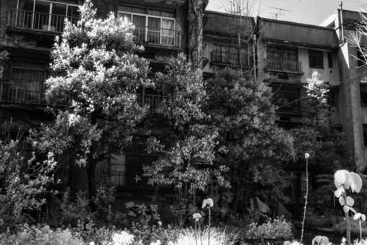 immeuble Dojunkai Edogawa situé dans le quartier de Shinjuku à Tokyo.