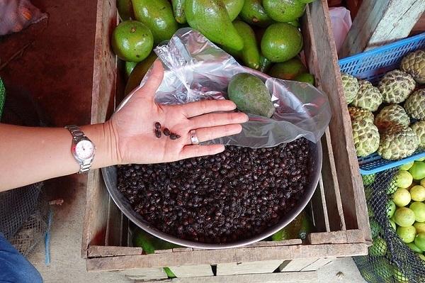 Les 10 plats typiques de la selva péruvienne