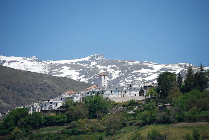 Capileira