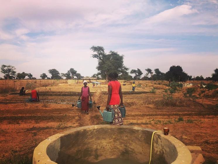 écovillage de kamyaak au sénégal