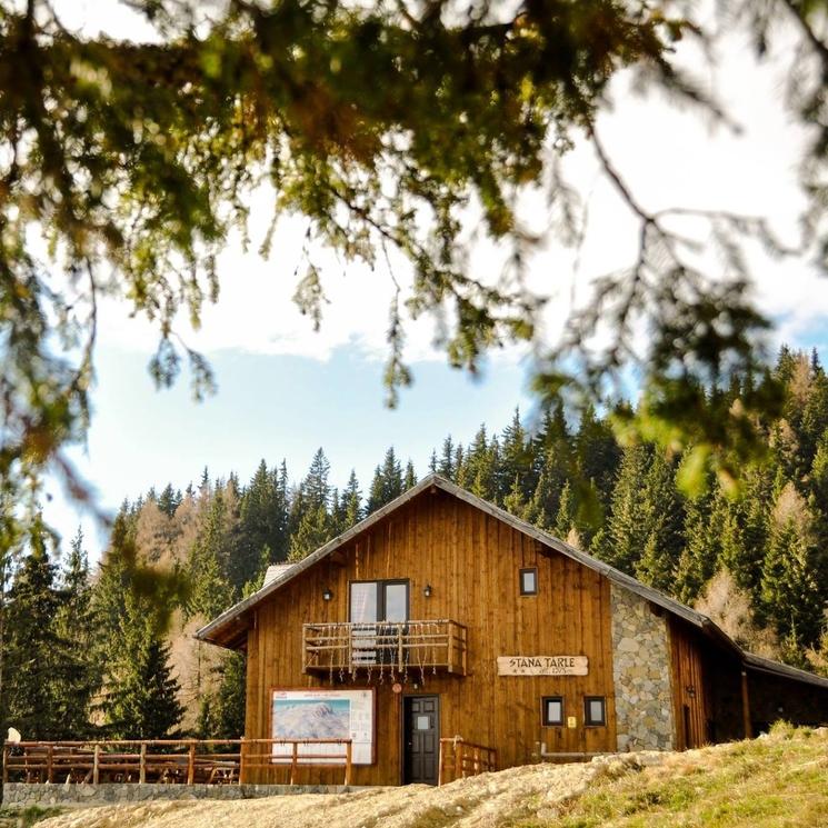 cabane-sinaia-stana-tarle