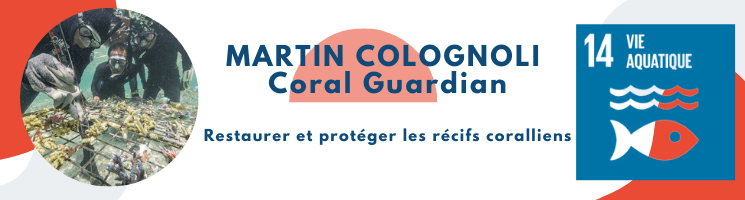 Coral Guardian en Indonésie