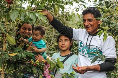 café pérou rutas del inca bio équitable