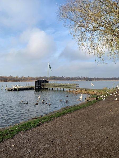 Hellerup nature lac 