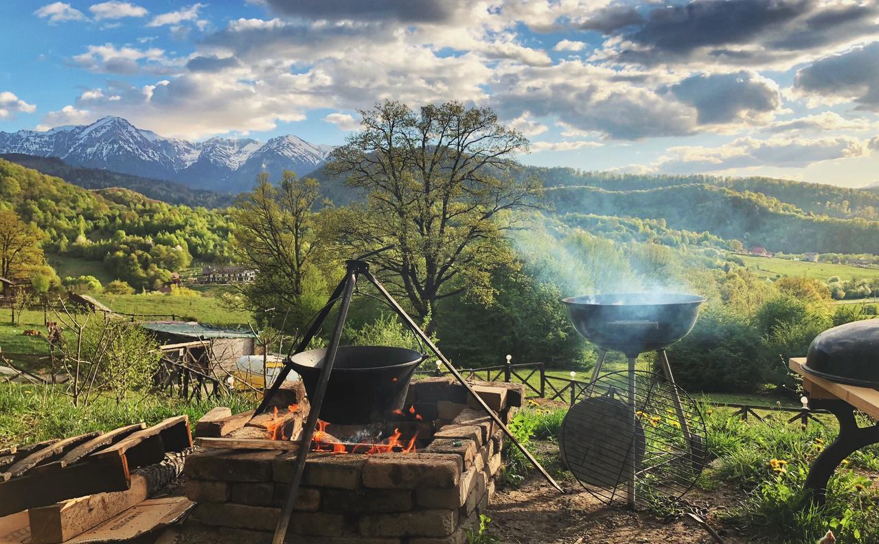 green-cottage-auberge-rustique-cabane-roumanie-brasov