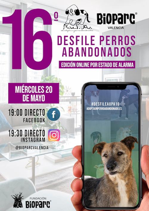 perros abandonados