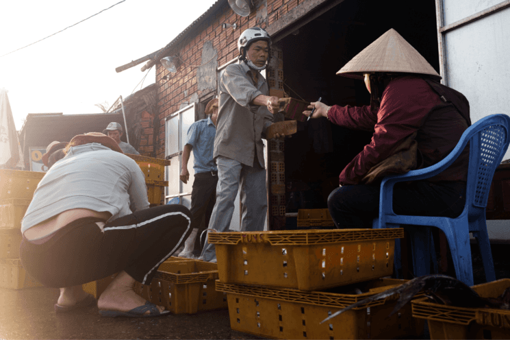 vietnam adrien jean photo pêche