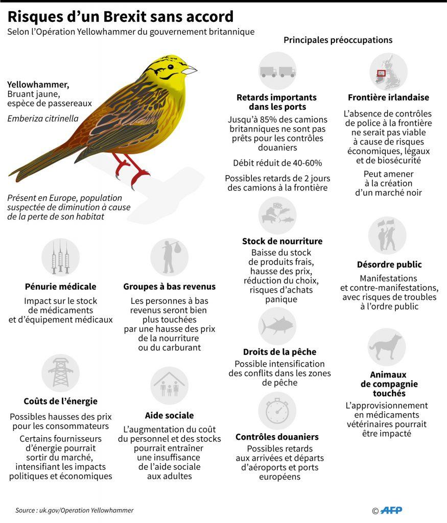 Principaux points de l'opération britannique Yellowhammer, l'évaluation gouvernementale d'un Brexit sans accord