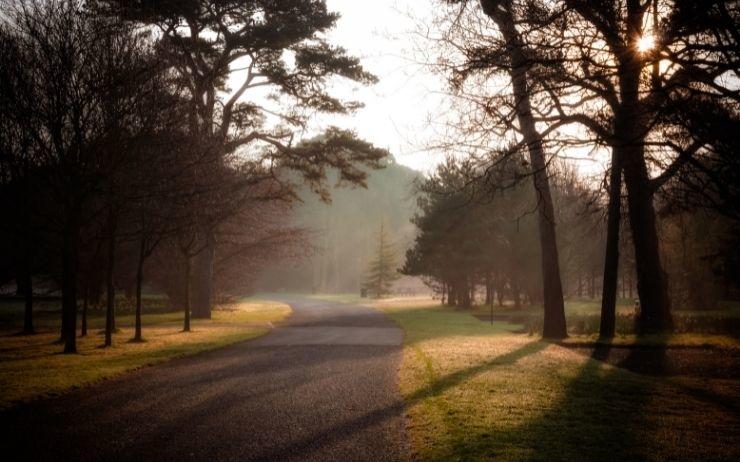 St. Anne's Park Dublin