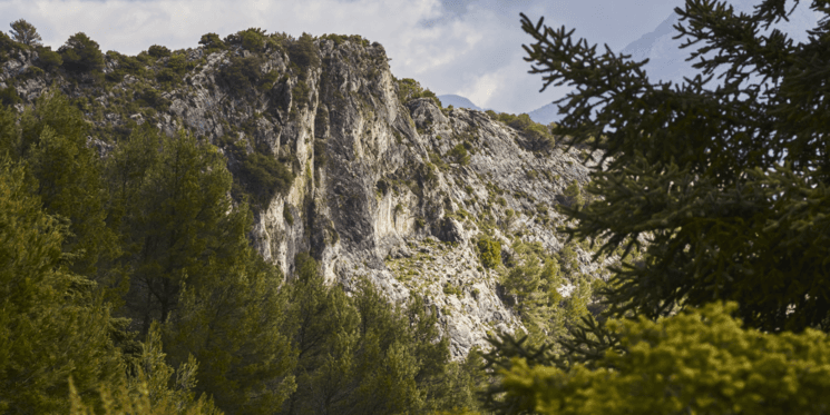 Sierra de las Nieves