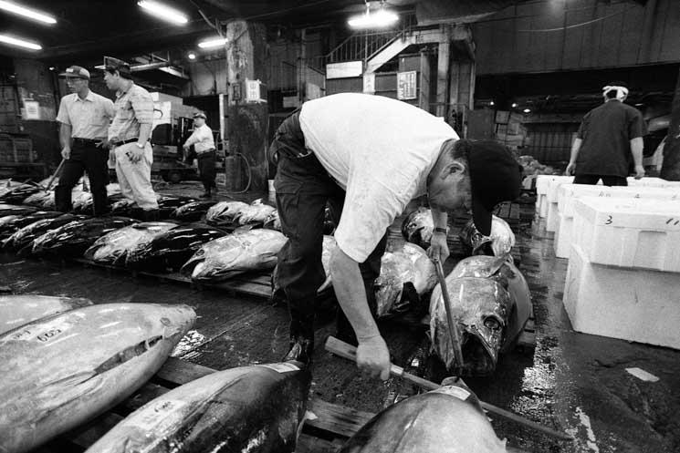 Photo d’archive © B.Chapiron  – 1996, Halles de Tsukiji à Tokyo.