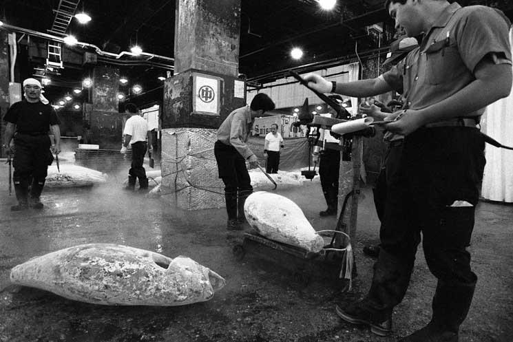 Photo d’archive © B.Chapiron  – 1996, Halles de Tsukiji à Tokyo.