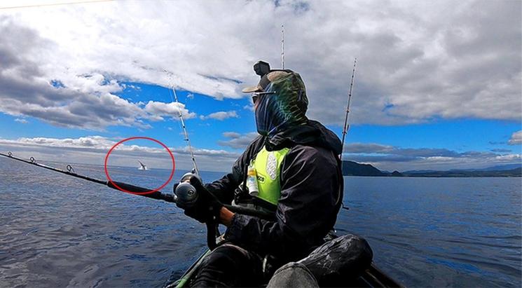 marlin pêche nouvelle zélande