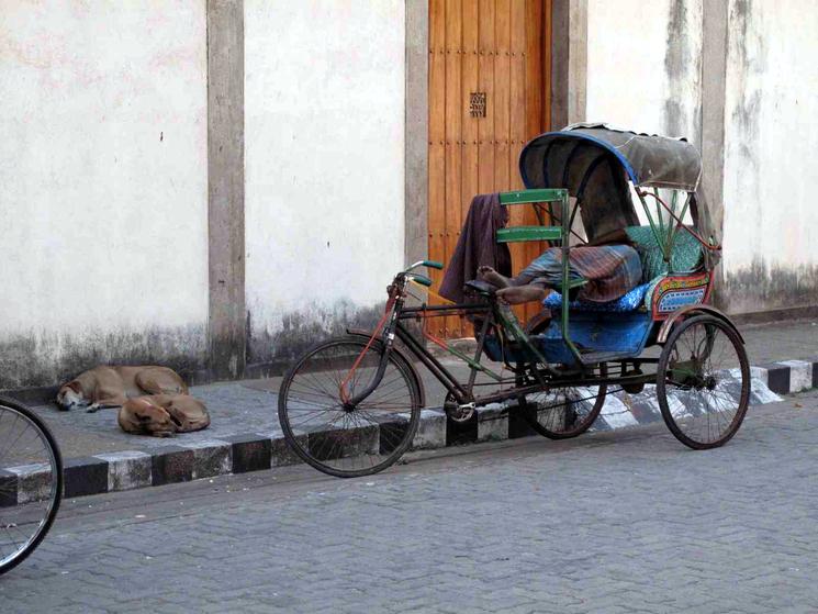 sieste madras rickshaw