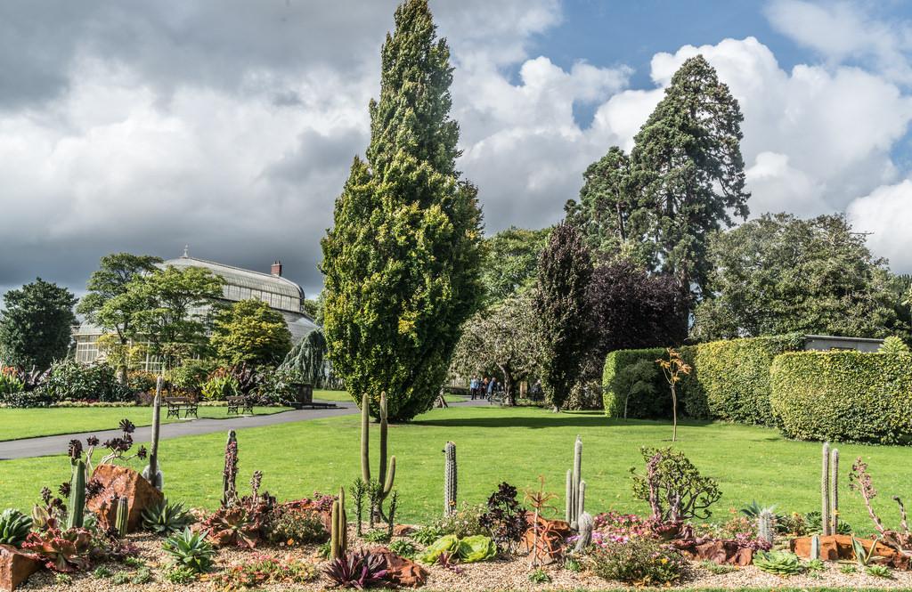 National Botanic Garden Dublin