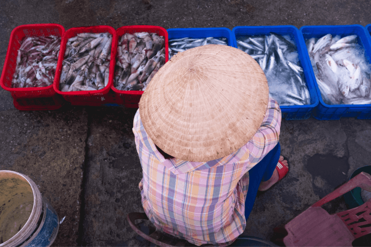 vietnam adrien jean photo pêche