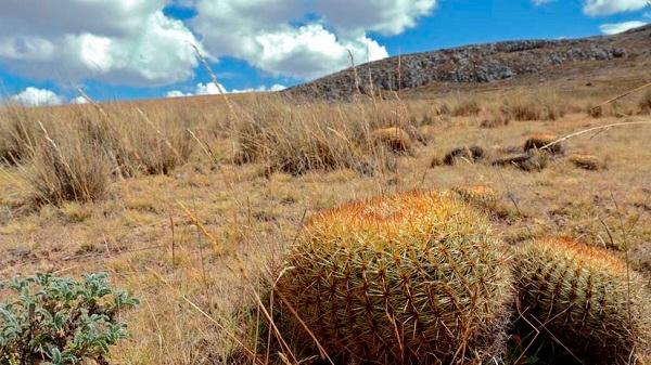 Connaissez-vous les huit grandes régions naturelles du Pérou ? 