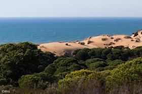 Plages vierges Doñana 