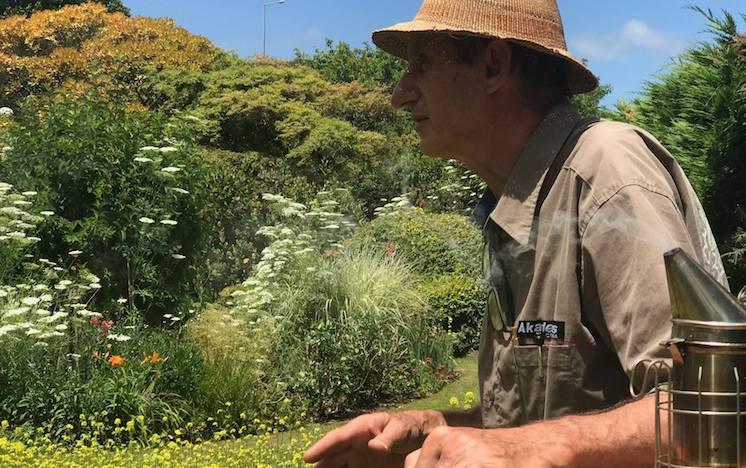 natural bee keeping school 