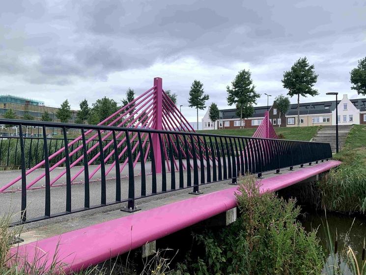 Pont des billets de 500 euros, architecture moderne (Photo: Emma Dailey)