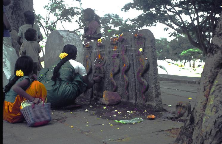 divinité serpent india inde 