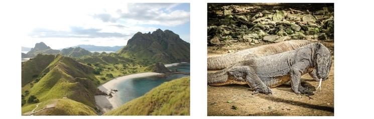 Unesco Indonésie Komodo