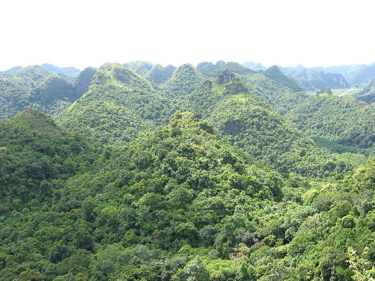 archipel de cat ba de la baie d'ha long inscrite au patrimoine mondial de l'unesco