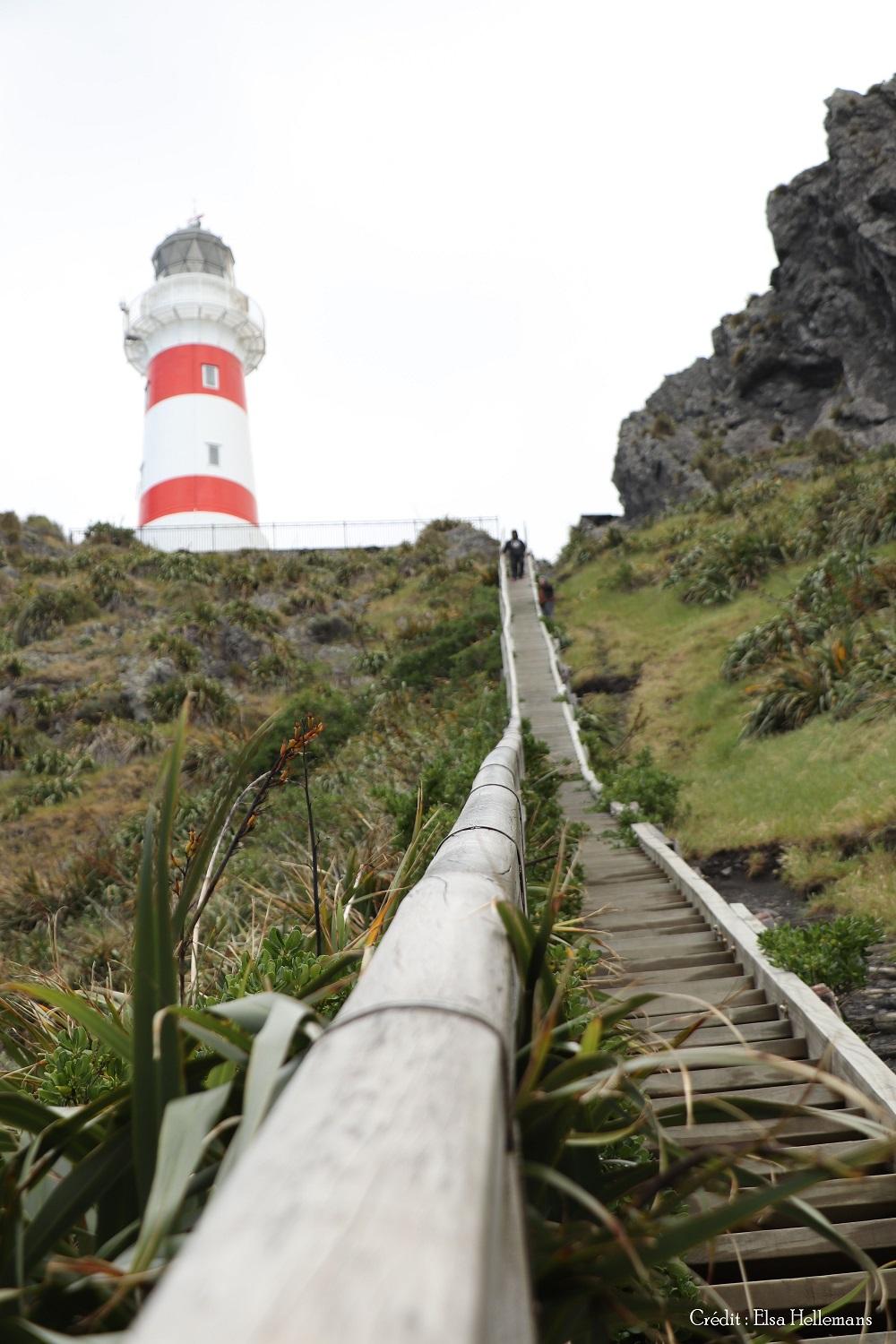 Du haut de son perchoir, le phare du Cape Palliser, construit à la fin du 19ème siècle, domine la baie avec une fierté assurée.