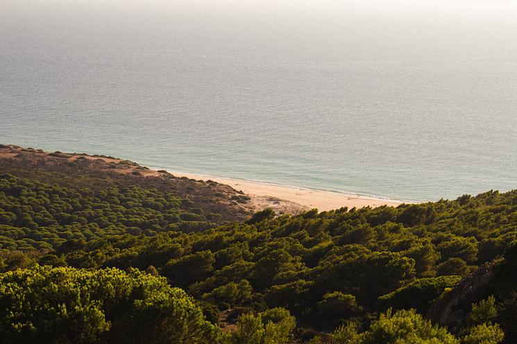 PLaya Bolonia